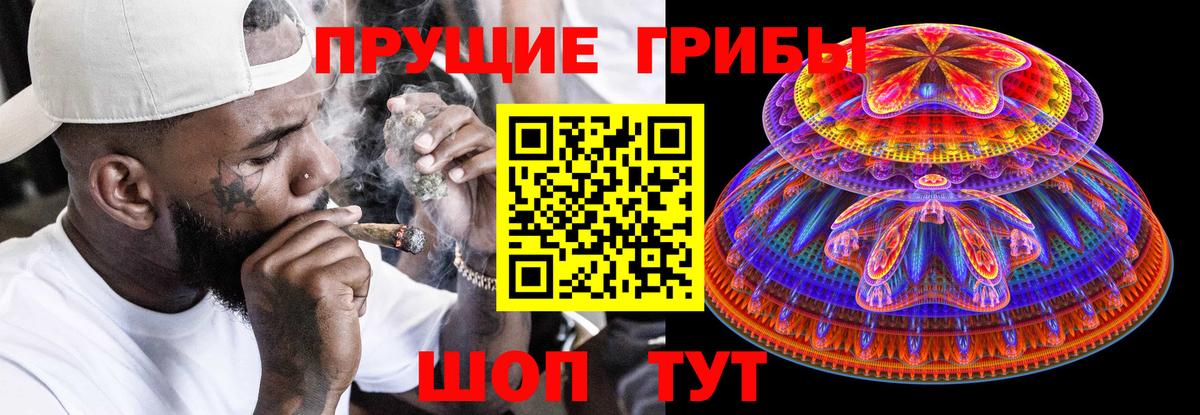 Печора  Галлюциногенные грибы прущие грибы  Вход с VPN 
